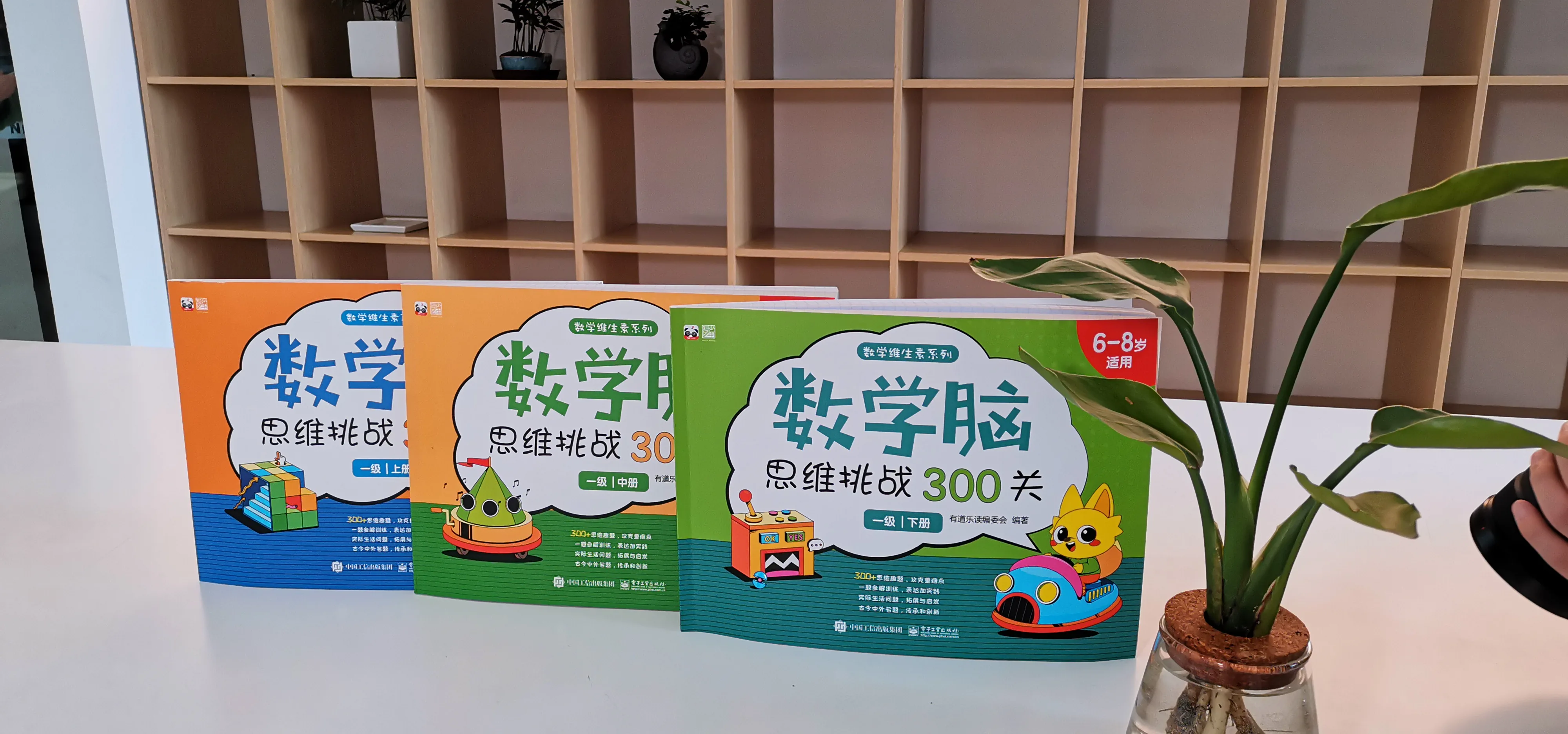 数学脑出版物